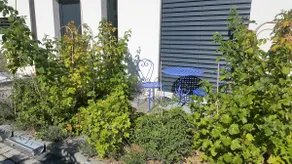 Independent studio - Image 2
