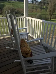Shepherd's Rest Vacation Rental R&R - Image 5