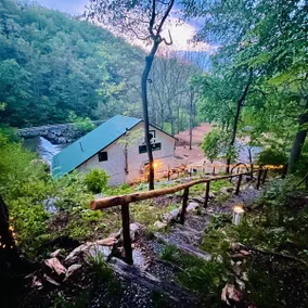 Swim Lagoon~Birder Oasis~Tree Lookout~Waterfall - Image 5