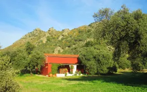 Charmante geräumige Scheune mit Pool in schönen, ruhigen Landschaft - Image 2