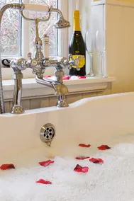 Jacuzzi, fireplaces, hot tub, sauna. - Image 5