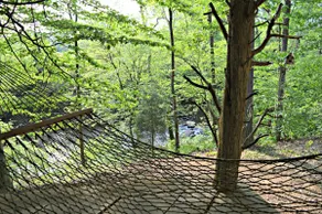 Nature Lover’s Retreat on the River - Image 5