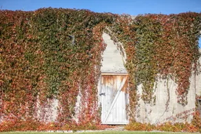 Vintage Luxury Condo in Downtown Livingston - Image 5