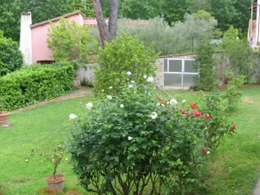 Les couleurs du Chianti - Image 5