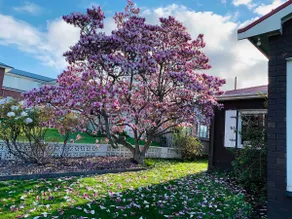 Rose Homey Home - Image 2