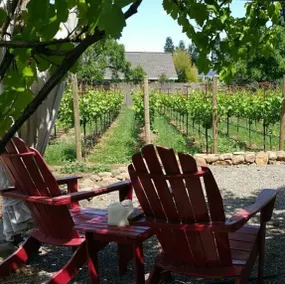 *Vintage Farmhouse* Bocce, Bikes, Robes & Donkey - Image 4