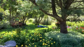 Relax in nature at Happy Valley Studio! - Image 5