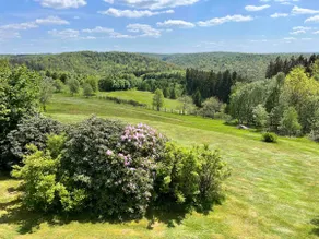 Quiet cottage with stunning forest views - Image 4