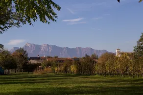 All'Alba del Magredo, between the Dolomites and Venice - Image 4