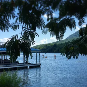 Water Front Outdoor Paradise 10 Min From Chatt!! - Image 4