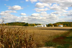 1898 Farmhouse on 75 acres - MJ's Farm - Image 2
