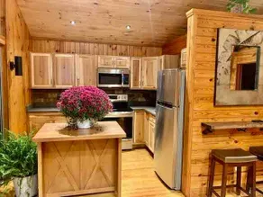Peaceful Cabin on a stream surrounded by Hemlocks - Image 3