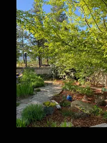 Cheerful cottage in the woods - Image 5