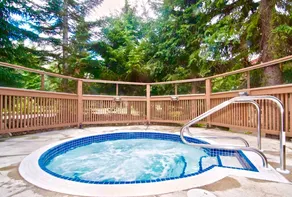 Cozy Mountain Oasis w / Hot Tub & Parking gratuit - Image 4