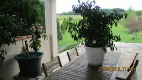 rental house south Corrèze North of the lot - Image 3