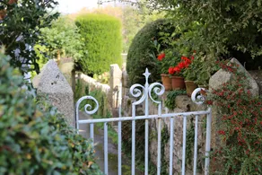 Pineapple Cottage - Sweet little house in Chagford - Image 5