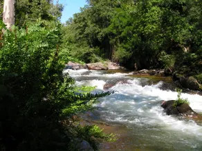 Wooden house on river near Ajaccio - Image 3