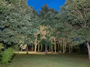 2-person 10 m2 cottage - Image 5