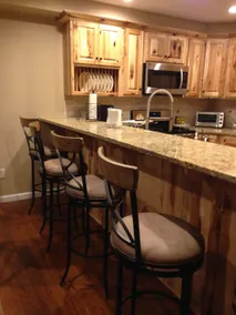 Near Hunter and Windham, shuttle, 4 BR 3.5 ba - Image 4