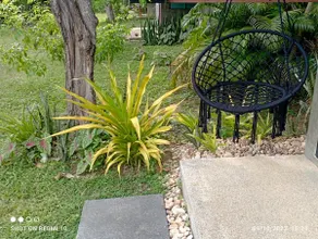 Cashewnut Tree Resort - Image 4