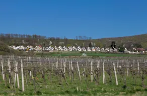 House with lake & vineyards view - Image 2