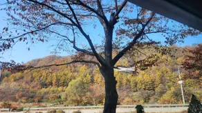 Seona and Grandpa's Log Cabin - Sanim - Image 5