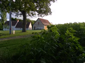 Peaceful Touraine farmhouse on the outskirts of Loches - Image 3