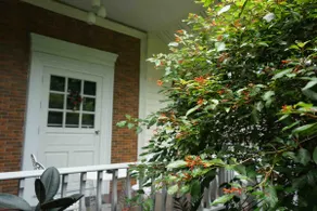 Cosy 3 Bedroom House in Peaceful Garden - Image 2