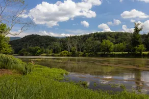 Cozy riverfront cottage on the South Holston River - Image 5