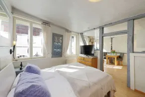 Superior Studio by Rosenstock Apartments - Image 3