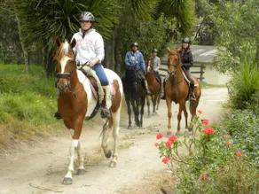 Hacienda Rosas Pamba - Image 2