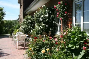 Friesenhof Pellworm, double room Oland - Image 5