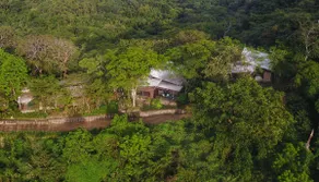 Jungle house sleeps 4, beaches, pool, monkeys! - Image 2