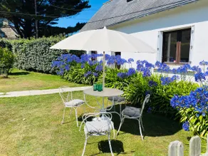 The Agapanthus of the Dérobée - Image 3