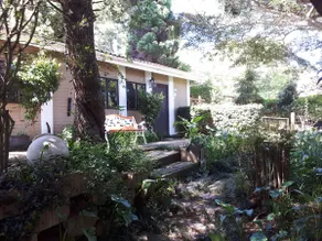 Stacey's Apartment, Pvt Garden & braai, Hillcrest - Image 5