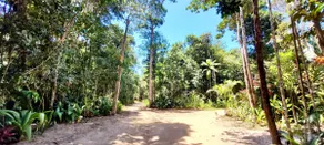 Mata das Orquídeas. Trancoso in the midst of nature - Image 3