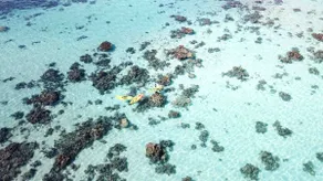 MOOREA BLUE VILLA, Beachfront Vacation Villa - Image 2