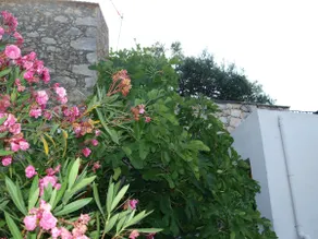 Traditional Greek Stone House - Image 5