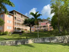 Ocho Rios Oasis - Image 3