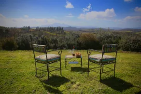 La Casina della Quercia, Your Tuscan Oak Tree House - Image 4