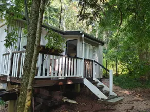 Tuctaway- Bunya Mountains - Image 3