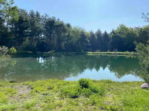 Remote, pond view log home, fully loaded, sleeps 6 - Image 5