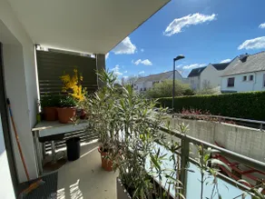 La Libellule 2 rooms near St Goustan - Image 4