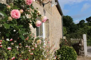 Cottage between landing beaches & marsh - Image 4