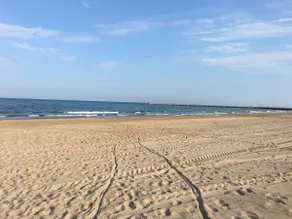 Apartment 6 minutes from the beach by car - Image 5