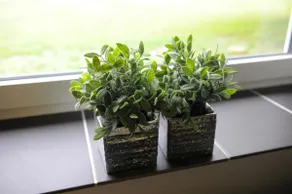 Super nice home 12 B - Image 3