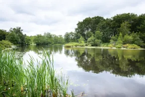 Estate with lake near beaches & Westerly - Image 4