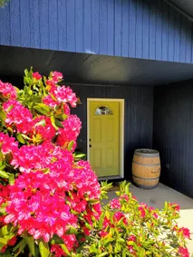 The Blue Rhodie| Centrally located family retreat - Image 3