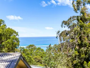Lorne Groovy Ocean View Log House, Pet Friendly, FREE WIFI wine & chocolates kangaroos in the evening - Image 3