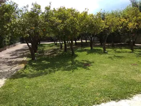 Electra Apartment in Epidaurus - Image 4